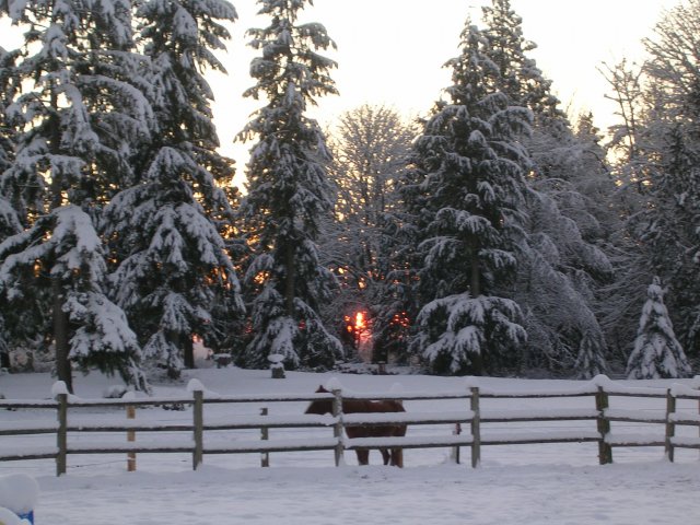 Winter sunset